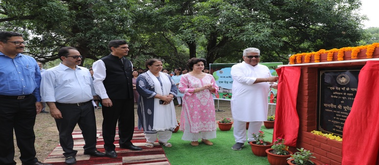 Inauguration of Mass Tree Plantation Programme 